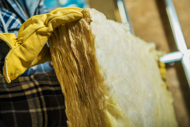 Best Insulation Contractors for Homes  in Orland Park, IL