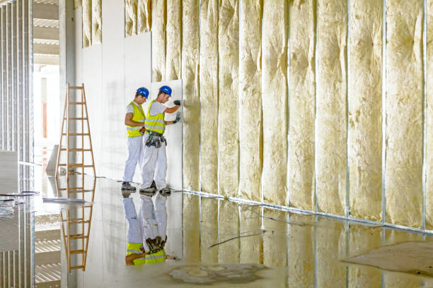 Insulation Inspection Services in Orland Park, IL